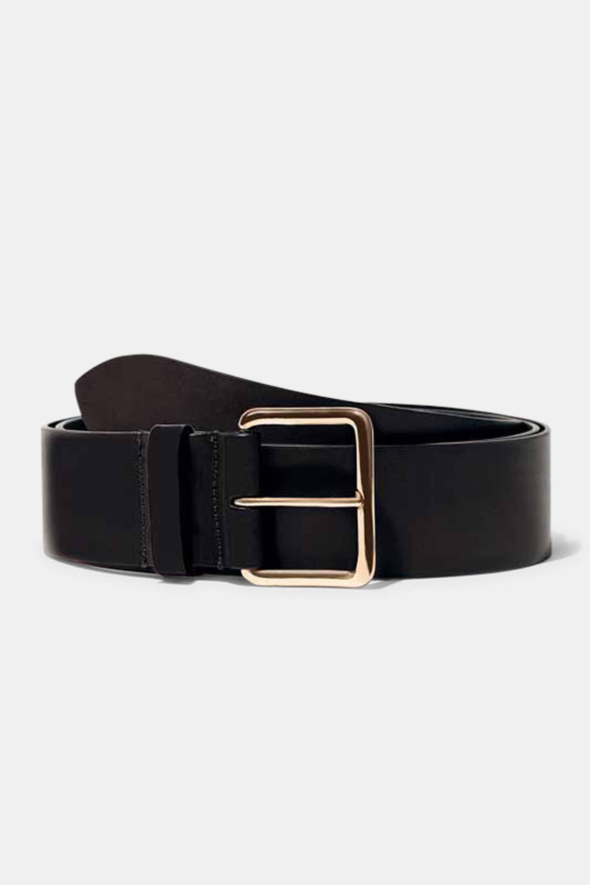 Largo Belt in Black with Gold Buckle — Exclusive