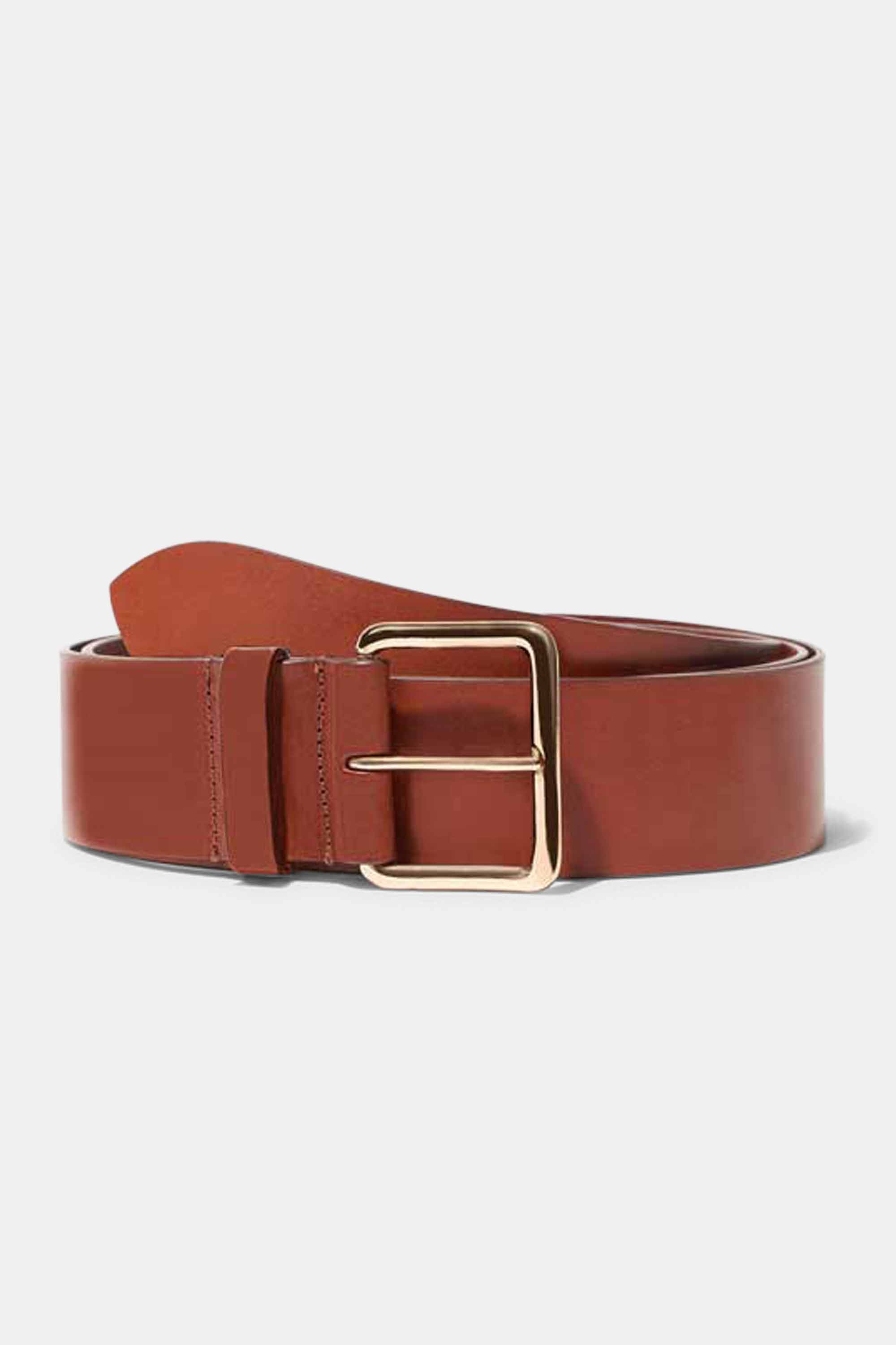 Largo Belt in Chestnut with Gold Buckle — Exclusive