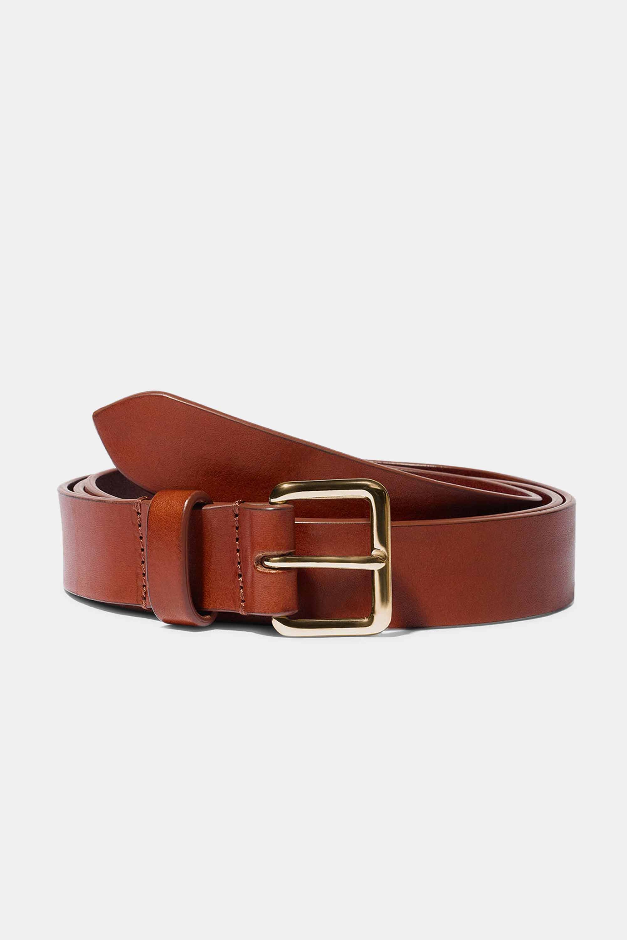 Yoyo Belt in Chestnut with Gold Buckle — Exclusive